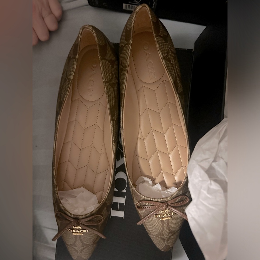 BRAND NEW! Never worn still in box Annabel Sig ballet shoe